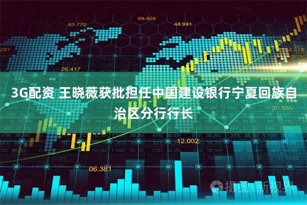 3G配资 王晓薇获批担任中国建设银行宁夏回族自治区分行行长