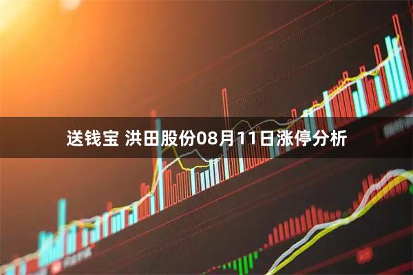 送钱宝 洪田股份08月11日涨停分析